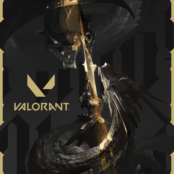 Okładka gry: Valorant
